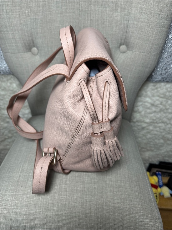 north face backpack discounted The Women's Jester Everyday Backpack, Pnk Moss, One Size JIANLINST Women's Mini Backpack and daisy Color:TRAVERTI cheap cross body bag